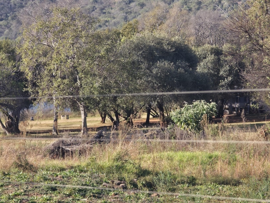 0 Bedroom Property for Sale in Buffelspoort Eco Estate North West